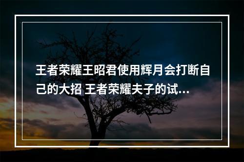 王者荣耀王昭君使用辉月会打断自己的大招 王者荣耀夫子的试炼答案--手游攻略网