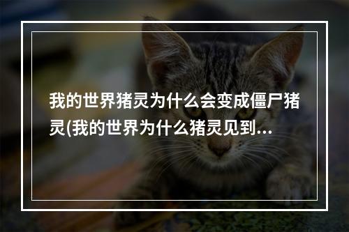 我的世界猪灵为什么会变成僵尸猪灵(我的世界为什么猪灵见到僵尸猪灵要叫)