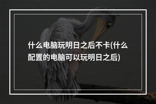 什么电脑玩明日之后不卡(什么配置的电脑可以玩明日之后)