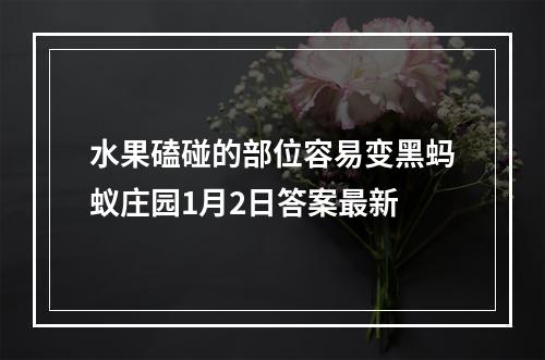 水果磕碰的部位容易变黑蚂蚁庄园1月2日答案最新