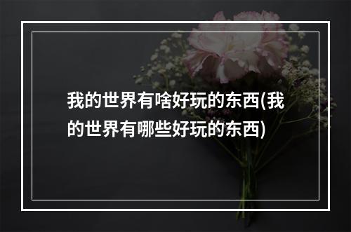 我的世界有啥好玩的东西(我的世界有哪些好玩的东西)