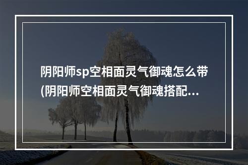 阴阳师sp空相面灵气御魂怎么带(阴阳师空相面灵气御魂搭配2021)