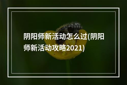 阴阳师新活动怎么过(阴阳师新活动攻略2021)