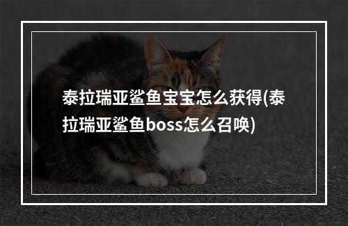 泰拉瑞亚鲨鱼宝宝怎么获得(泰拉瑞亚鲨鱼boss怎么召唤)