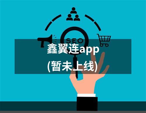 鑫翼连app(暂未上线)