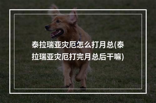 泰拉瑞亚灾厄怎么打月总(泰拉瑞亚灾厄打完月总后干嘛)