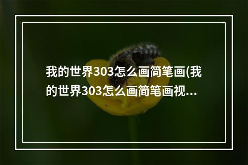 我的世界303怎么画简笔画(我的世界303怎么画简笔画视频)