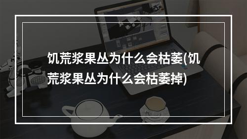 饥荒浆果丛为什么会枯萎(饥荒浆果丛为什么会枯萎掉)