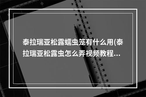 泰拉瑞亚松露蠕虫笼有什么用(泰拉瑞亚松露虫怎么弄视频教程)