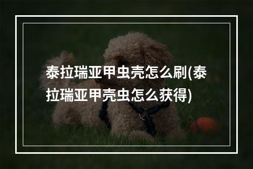 泰拉瑞亚甲虫壳怎么刷(泰拉瑞亚甲壳虫怎么获得)