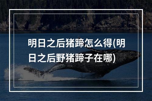 明日之后猪蹄怎么得(明日之后野猪蹄子在哪)