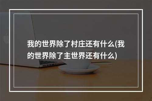 我的世界除了村庄还有什么(我的世界除了主世界还有什么)