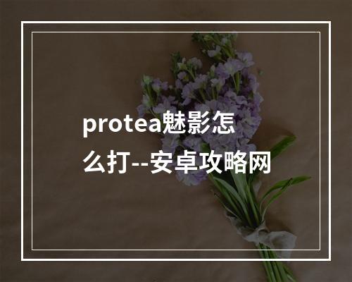 protea魅影怎么打--安卓攻略网