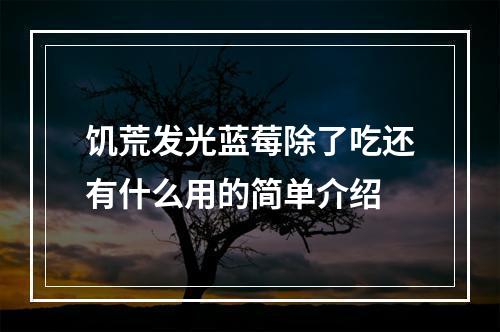 饥荒发光蓝莓除了吃还有什么用的简单介绍