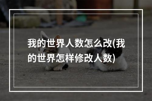 我的世界人数怎么改(我的世界怎样修改人数)