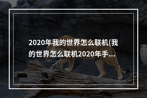 2020年我的世界怎么联机(我的世界怎么联机2020年手机版)