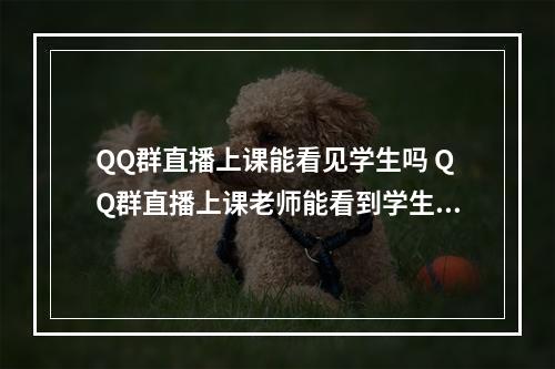 QQ群直播上课能看见学生吗 QQ群直播上课老师能看到学生吗[多图]--游戏攻略网