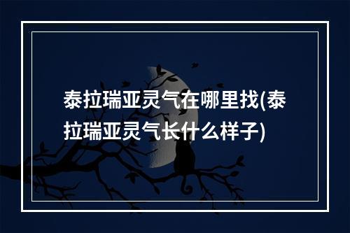 泰拉瑞亚灵气在哪里找(泰拉瑞亚灵气长什么样子)