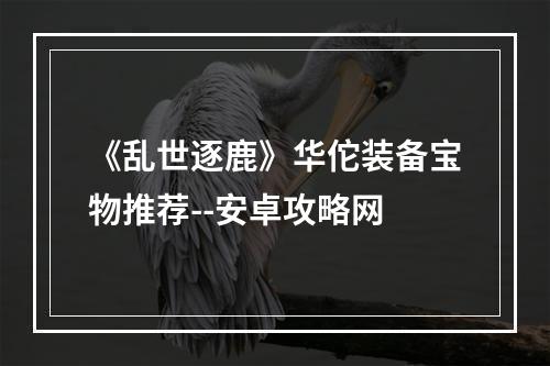 《乱世逐鹿》华佗装备宝物推荐--安卓攻略网