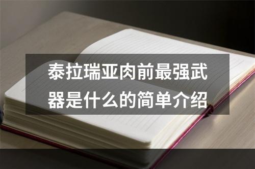 泰拉瑞亚肉前最强武器是什么的简单介绍