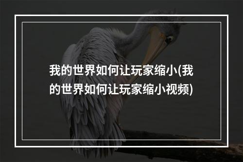 我的世界如何让玩家缩小(我的世界如何让玩家缩小视频)