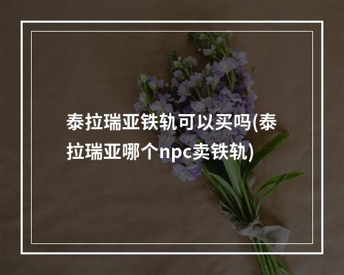 泰拉瑞亚铁轨可以买吗(泰拉瑞亚哪个npc卖铁轨)