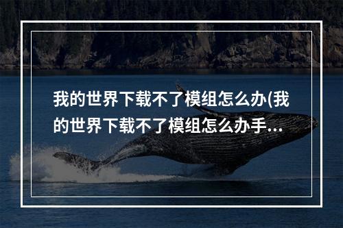 我的世界下载不了模组怎么办(我的世界下载不了模组怎么办手机版)