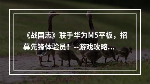 《战国志》联手华为M5平板，招募先锋体验员！--游戏攻略网