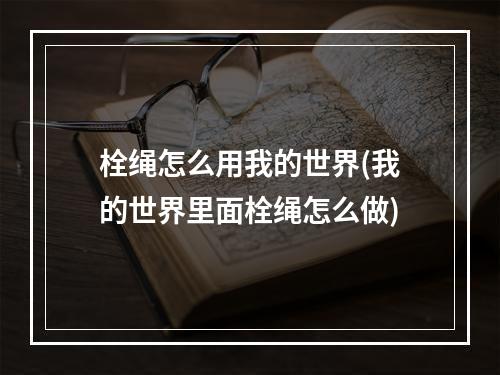 栓绳怎么用我的世界(我的世界里面栓绳怎么做)