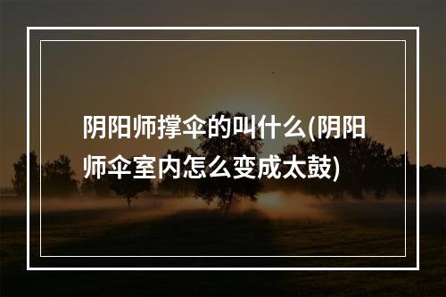 阴阳师撑伞的叫什么(阴阳师伞室内怎么变成太鼓)