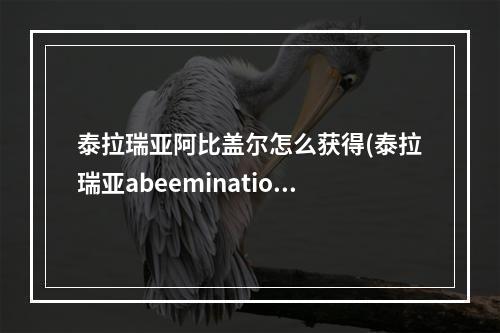 泰拉瑞亚阿比盖尔怎么获得(泰拉瑞亚abeemination)