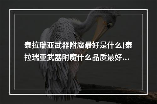 泰拉瑞亚武器附魔最好是什么(泰拉瑞亚武器附魔什么品质最好)