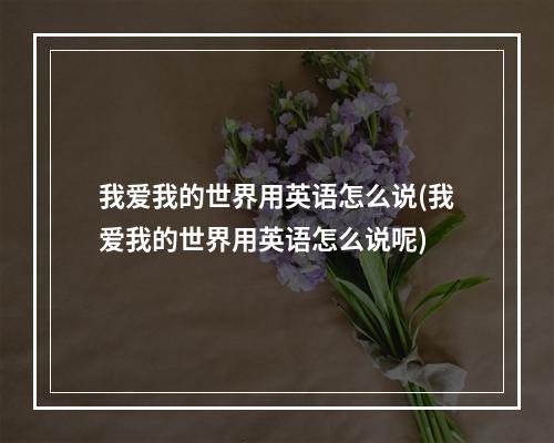 我爱我的世界用英语怎么说(我爱我的世界用英语怎么说呢)