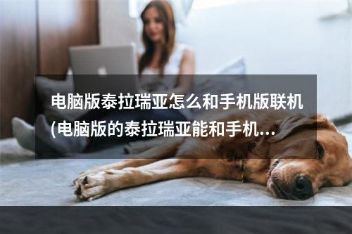 电脑版泰拉瑞亚怎么和手机版联机(电脑版的泰拉瑞亚能和手机联机吗?)