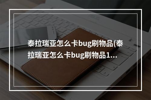 泰拉瑞亚怎么卡bug刷物品(泰拉瑞亚怎么卡bug刷物品141)