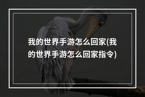 我的世界手游怎么回家(我的世界手游怎么回家指令)