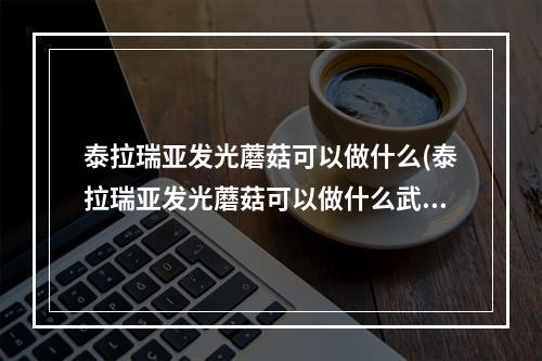 泰拉瑞亚发光蘑菇可以做什么(泰拉瑞亚发光蘑菇可以做什么武器)