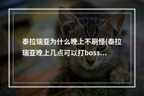 泰拉瑞亚为什么晚上不刷怪(泰拉瑞亚晚上几点可以打boss)