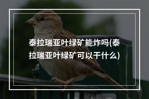 泰拉瑞亚叶绿矿能炸吗(泰拉瑞亚叶绿矿可以干什么)