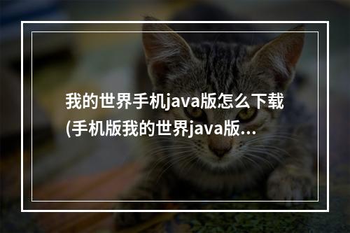 我的世界手机java版怎么下载(手机版我的世界java版怎么下载)