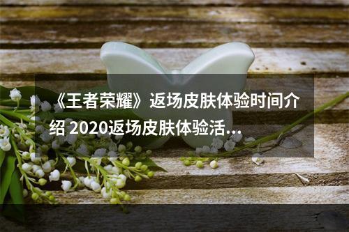 《王者荣耀》返场皮肤体验时间介绍 2020返场皮肤体验活动是什么时候--手游攻略网