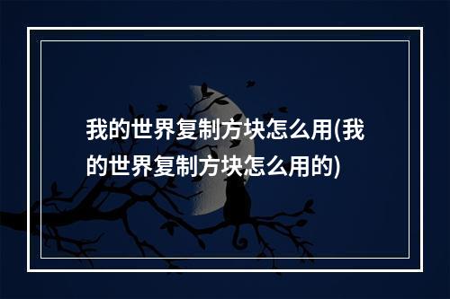 我的世界复制方块怎么用(我的世界复制方块怎么用的)