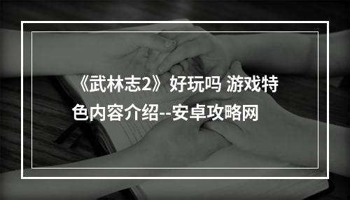 《武林志2》好玩吗 游戏特色内容介绍--安卓攻略网