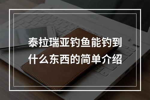 泰拉瑞亚钓鱼能钓到什么东西的简单介绍