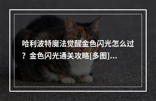 哈利波特魔法觉醒金色闪光怎么过？金色闪光通关攻略[多图]--手游攻略网