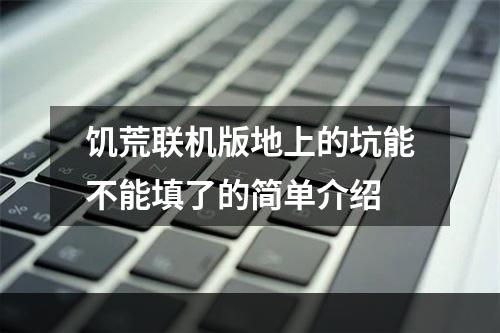 饥荒联机版地上的坑能不能填了的简单介绍