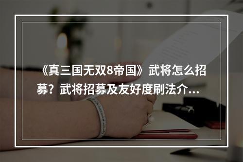 《真三国无双8帝国》武将怎么招募？武将招募及友好度刷法介绍--游戏攻略网