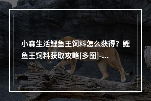 小森生活鲤鱼王饲料怎么获得？鲤鱼王饲料获取攻略[多图]--游戏攻略网