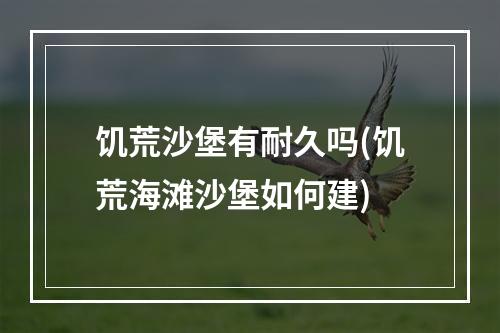 饥荒沙堡有耐久吗(饥荒海滩沙堡如何建)