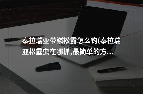 泰拉瑞亚带鳞松露怎么钓(泰拉瑞亚松露虫在哪抓,最简单的方法抓)